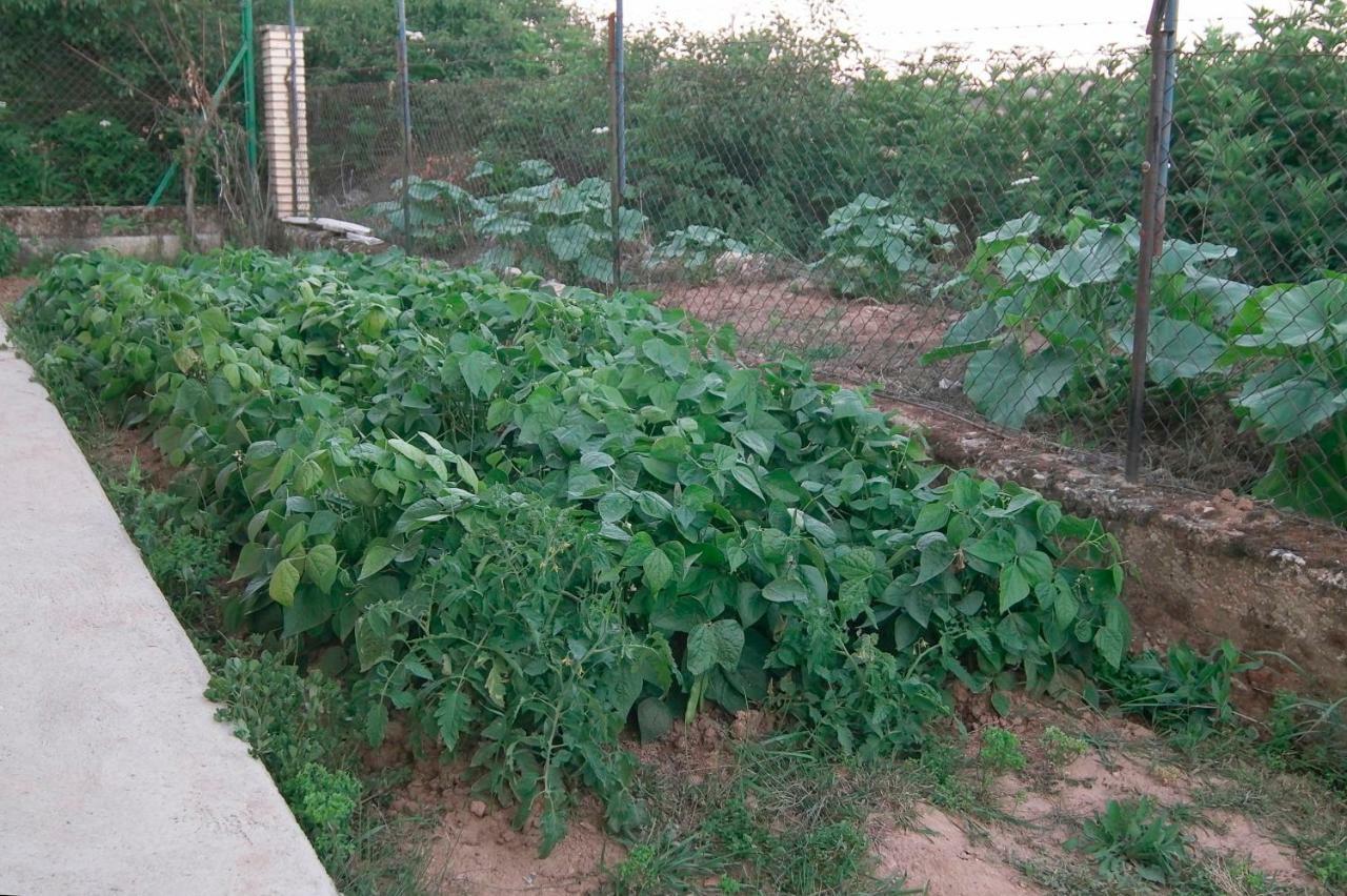 El Jardin De Manuela Villa Santibanez del Val Екстериор снимка