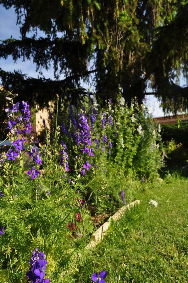 El Jardin De Manuela Villa Santibanez del Val Екстериор снимка